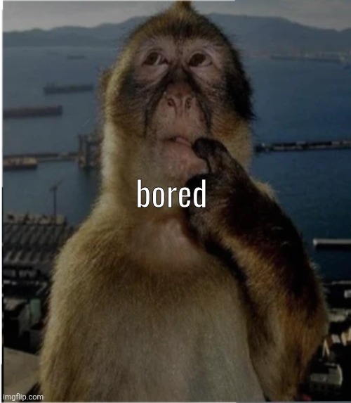 thinking monkey | bored | image tagged in thinking monkey | made w/ Imgflip meme maker