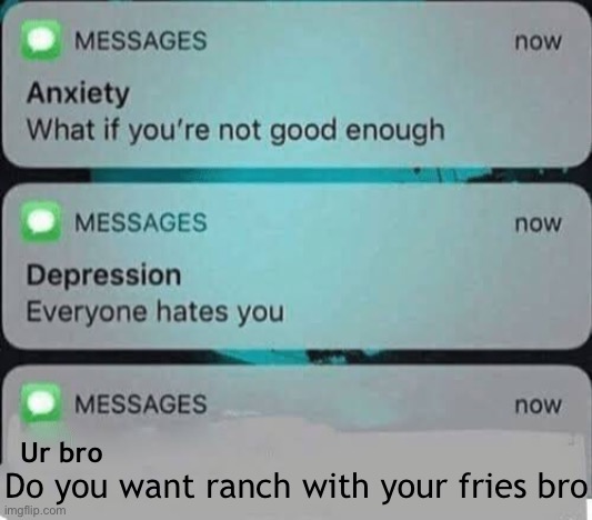 Anxiety/depression texts | Do you want ranch with your fries bro; Ur bro | image tagged in anxiety/depression texts | made w/ Imgflip meme maker