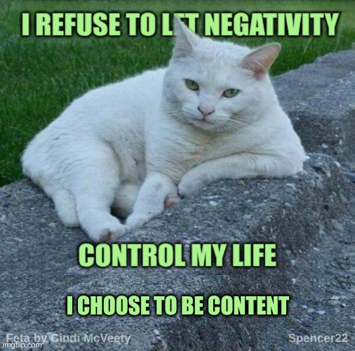 Good Vibes | I CHOOSE TO BE CONTENT | image tagged in feta,negativity,just sayin',good vibes,happy cat,content | made w/ Imgflip meme maker
