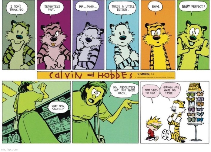 Mom always spoils everything… | image tagged in calvin and hobbes,comics,sunglasses,colors | made w/ Imgflip meme maker