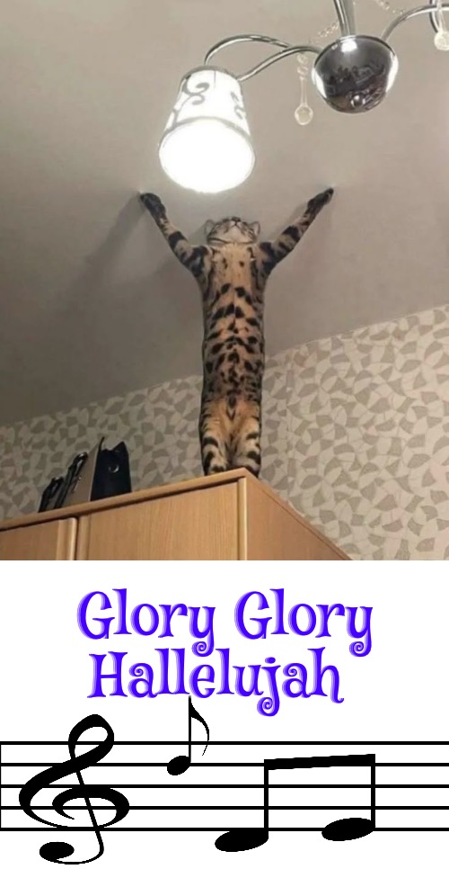 Hallelujah Cat | Glory Glory Hallelujah | image tagged in cats,funny cats,hallelujah,glory,praise the lord,singing | made w/ Imgflip meme maker