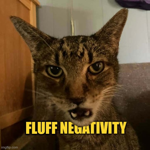 Just Fluff It! | FLUFF | image tagged in negativity,just say no,just sayin',good vibes,happy cat,i love you | made w/ Imgflip meme maker
