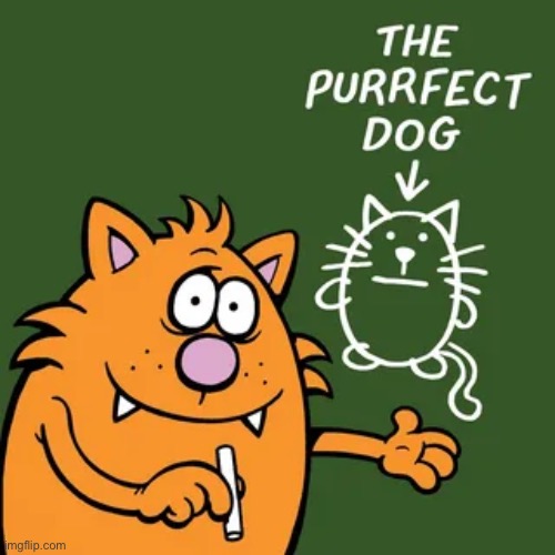 Learn to Speak Cat | image tagged in cats,comics,learn to speak cat,the purrfect dog | made w/ Imgflip meme maker