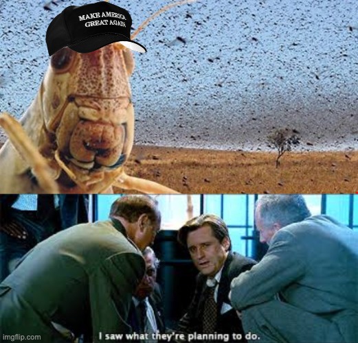 image tagged in scumbag locust | made w/ Imgflip meme maker