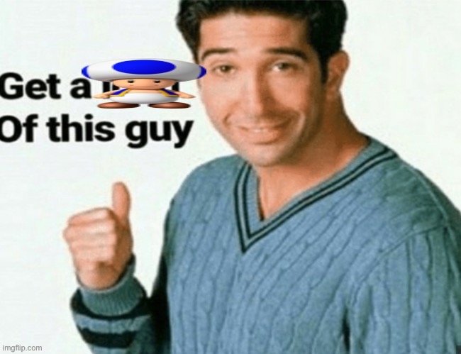 get a toad of this guy | image tagged in get a toad of this guy | made w/ Imgflip meme maker
