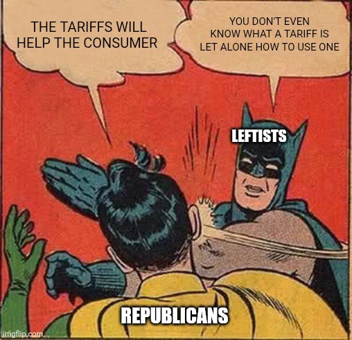 Bro they don't know what they are | THE TARIFFS WILL HELP THE CONSUMER; YOU DON'T EVEN KNOW WHAT A TARIFF IS LET ALONE HOW TO USE ONE; LEFTISTS; REPUBLICANS | image tagged in memes,batman slapping robin | made w/ Imgflip meme maker