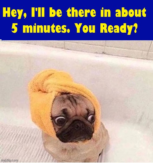 "Dog Diaries" Chapter2: 'Dating' by Pugsley Ainsworth | image tagged in vince vance,dogs,pugs,dear diary,woof,ruff | made w/ Imgflip meme maker