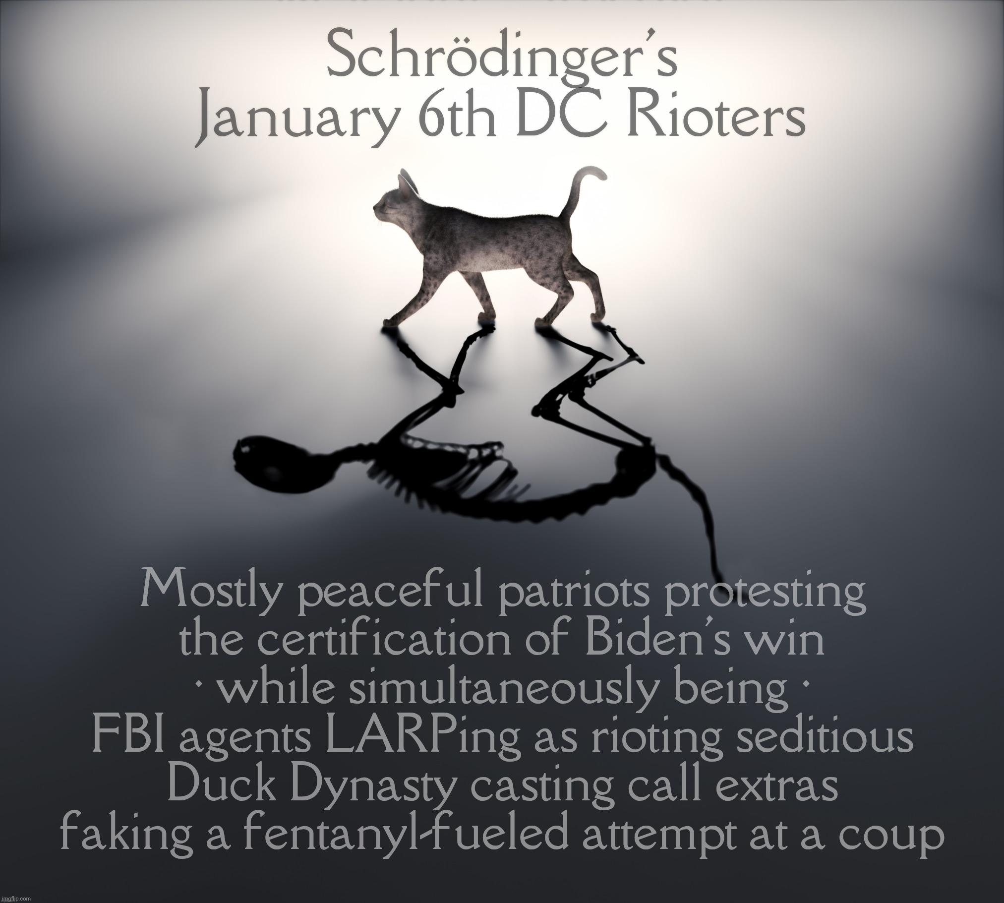 Schrodinger's Cat | Schrödinger's
January 6th DC Rioters; Mostly peaceful patriots protesting
the certification of Biden's win
• while simultaneously being •
FBI agents LARPing as rioting seditious
Duck Dynasty casting call extras
faking a fentanyl-fueled attempt at a coup | image tagged in schrodinger's cat | made w/ Imgflip meme maker