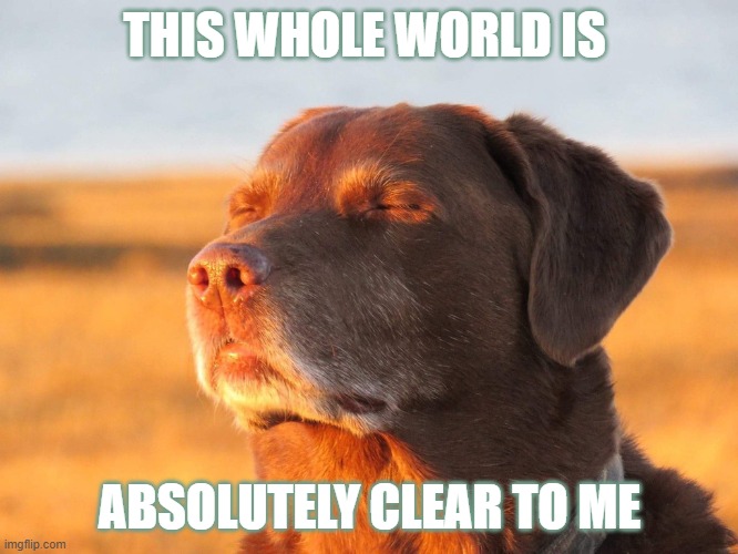 Cooked Dog | THIS WHOLE WORLD IS; ABSOLUTELY CLEAR TO ME | image tagged in cooked dog | made w/ Imgflip meme maker