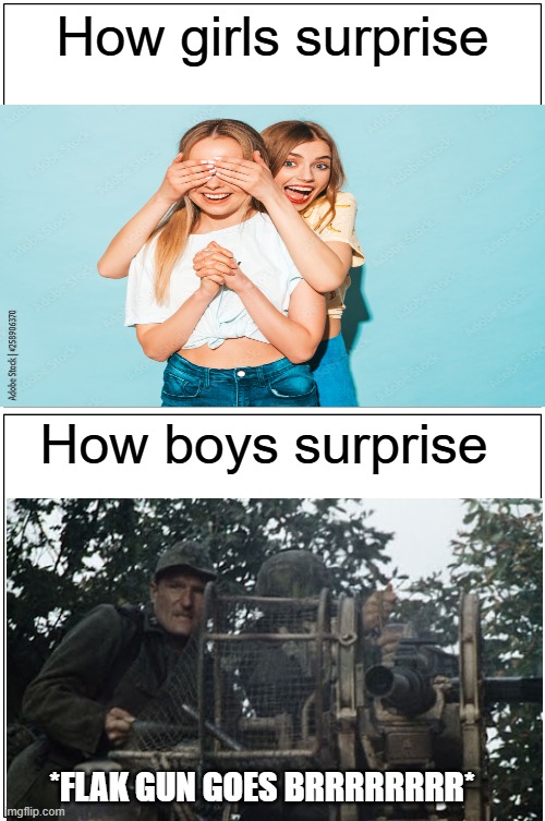 Pretty much | How girls surprise; How boys surprise; *FLAK GUN GOES BRRRRRRRR* | image tagged in memes,blank comic panel 1x2,movies,tv,boys vs girls,funny memes | made w/ Imgflip meme maker