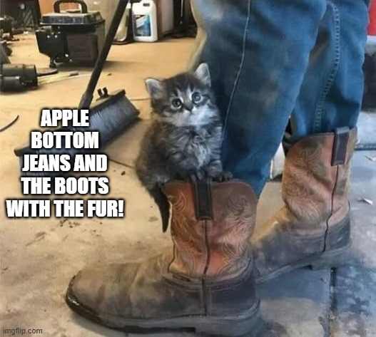 Kitty Boots | APPLE BOTTOM JEANS AND THE BOOTS WITH THE FUR! | image tagged in cats | made w/ Imgflip meme maker