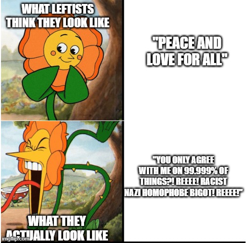 flower cuphead | WHAT LEFTISTS THINK THEY LOOK LIKE; "PEACE AND LOVE FOR ALL"; "YOU ONLY AGREE WITH ME ON 99.999% OF THINGS?! REEEE! RACIST NAZI HOMOPHOBE BIGOT! REEEE!"; WHAT THEY ACTUALLY LOOK LIKE | image tagged in flower cuphead | made w/ Imgflip meme maker
