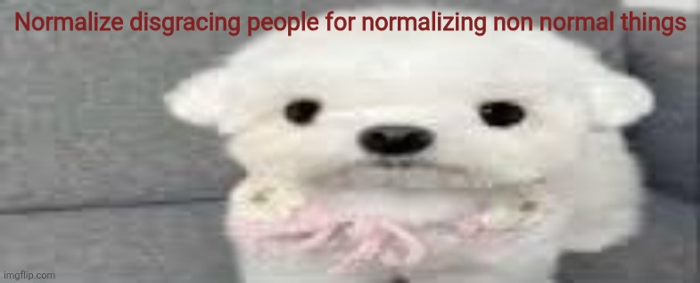 Dog stating | Normalize disgracing people for normalizing non normal things | image tagged in dog stating | made w/ Imgflip meme maker