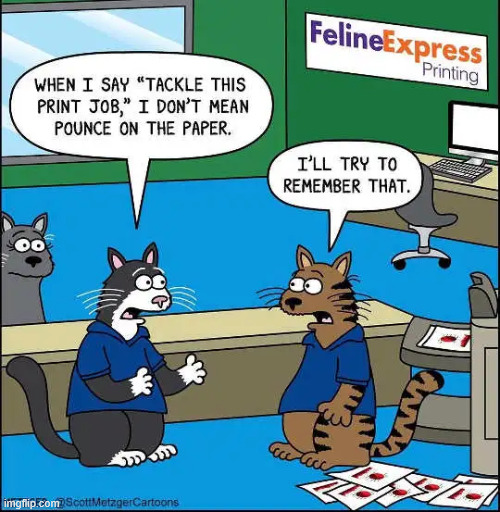 Literally no | image tagged in repost,tackling the job | made w/ Imgflip meme maker