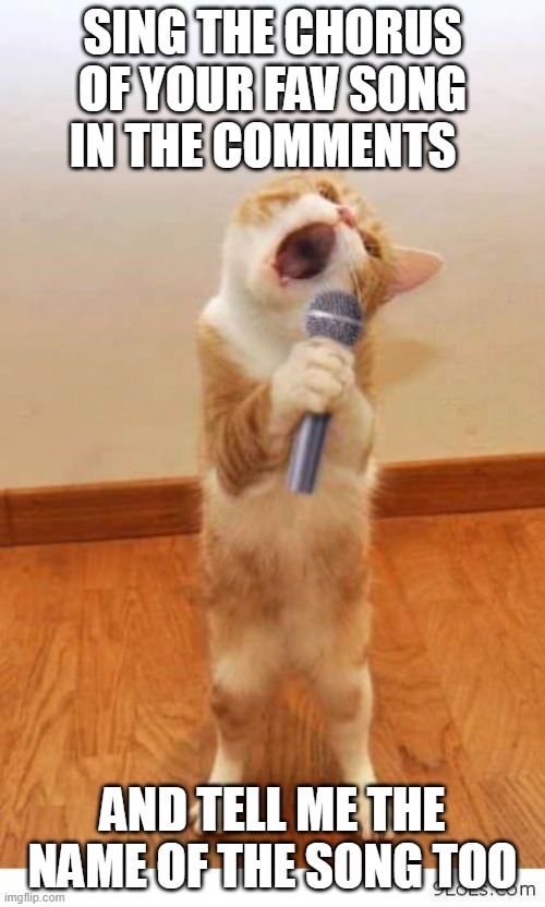 Cat Singer | SING THE CHORUS OF YOUR FAV SONG IN THE COMMENTS; AND TELL ME THE NAME OF THE SONG TOO | image tagged in cat singer | made w/ Imgflip meme maker