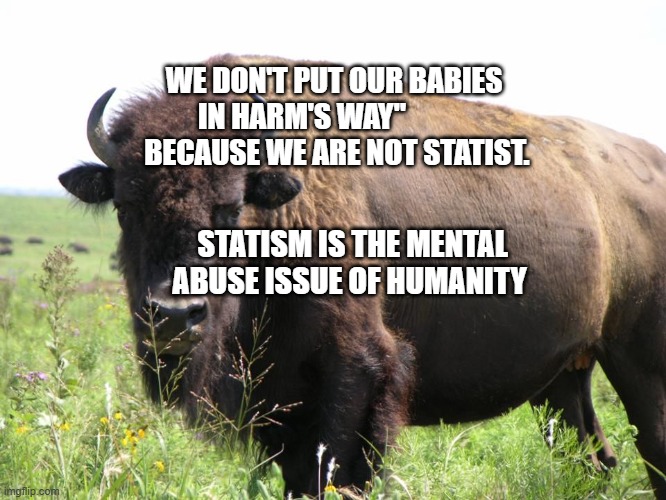 buffalo  | WE DON'T PUT OUR BABIES IN HARM'S WAY"              BECAUSE WE ARE NOT STATIST. STATISM IS THE MENTAL ABUSE ISSUE OF HUMANITY | image tagged in buffalo | made w/ Imgflip meme maker