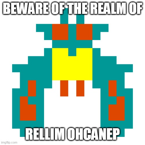 you are entering to another realm | BEWARE OF THE REALM OF; RELLIM OHCANEP | image tagged in galaga space enemy,galaga,mortal kombat | made w/ Imgflip meme maker