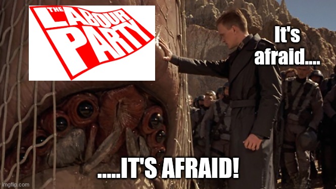 It's Afraid | It's afraid.... .....IT'S AFRAID! | image tagged in it's afraid | made w/ Imgflip meme maker