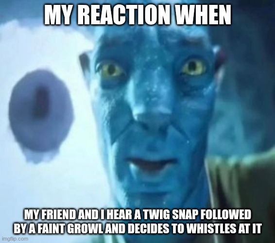 true story | MY REACTION WHEN; MY FRIEND AND I HEAR A TWIG SNAP FOLLOWED BY A FAINT GROWL AND DECIDES TO WHISTLES AT IT | image tagged in avatar guy | made w/ Imgflip meme maker