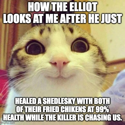 Smiling Cat | HOW THE ELLIOT LOOKS AT ME AFTER HE JUST; HEALED A SHEDLESKY WITH BOTH OF THEIR FRIED CHIKENS AT 99% HEALTH WHILE THE KILLER IS CHASING US. | image tagged in memes,smiling cat | made w/ Imgflip meme maker