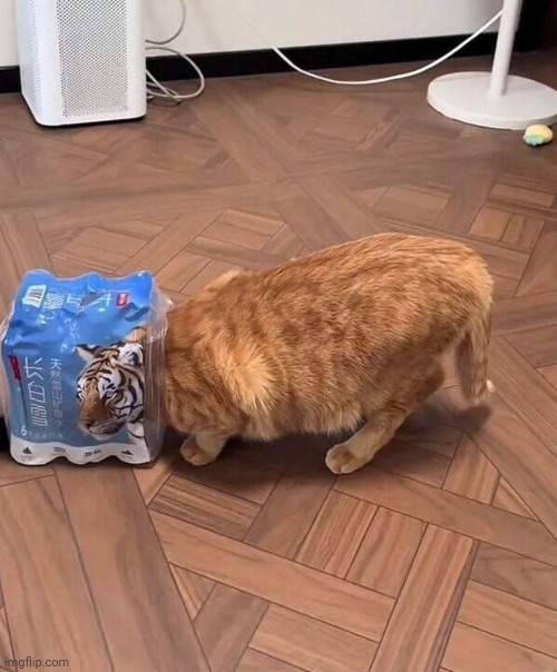 Lol | made w/ Imgflip meme maker