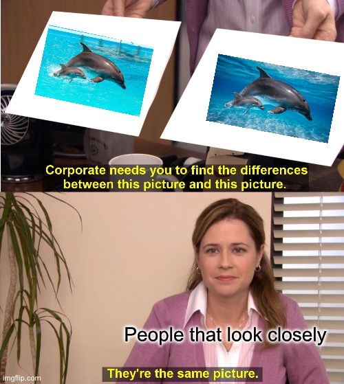 Then why does the second image exist? | People that look closely | image tagged in memes,they're the same picture,dolphins,shutterstock images,mom and baby,edited image | made w/ Imgflip meme maker