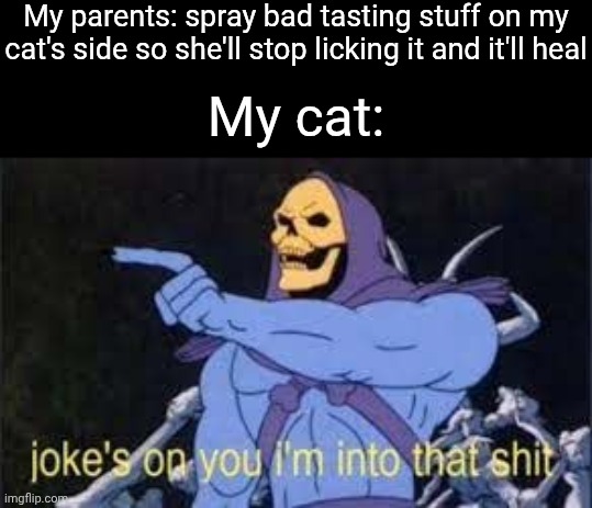 We're gonna have to get her a cone -_- | My parents: spray bad tasting stuff on my cat's side so she'll stop licking it and it'll heal; My cat: | image tagged in jokes on you im into that shit | made w/ Imgflip meme maker