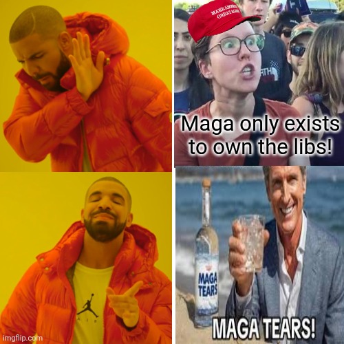 Drake Hotline Bling Meme | Maga only exists to own the libs! | image tagged in memes,drake hotline bling | made w/ Imgflip meme maker