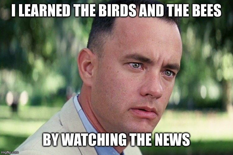 Birds and bees | I LEARNED THE BIRDS AND THE BEES; BY WATCHING THE NEWS | image tagged in memes,and just like that | made w/ Imgflip meme maker