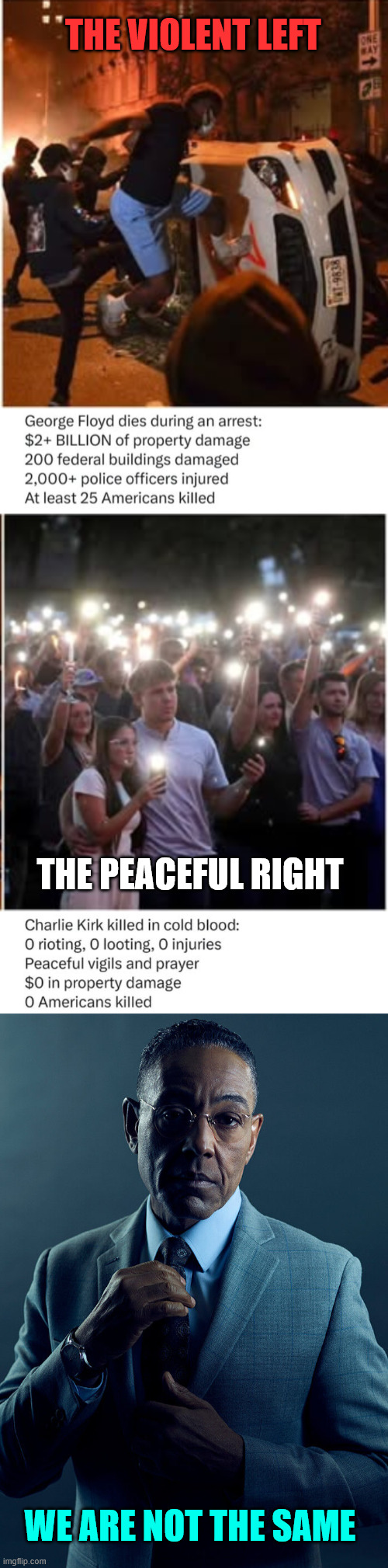 We are not the same | THE VIOLENT LEFT; THE PEACEFUL RIGHT; WE ARE NOT THE SAME | image tagged in violent left,peaceful right,we are not the same | made w/ Imgflip meme maker