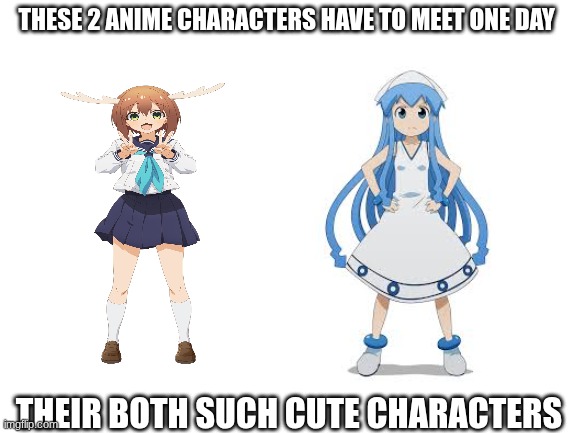 Blank White Template | THESE 2 ANIME CHARACTERS HAVE TO MEET ONE DAY; THEIR BOTH SUCH CUTE CHARACTERS | image tagged in blank white template | made w/ Imgflip meme maker