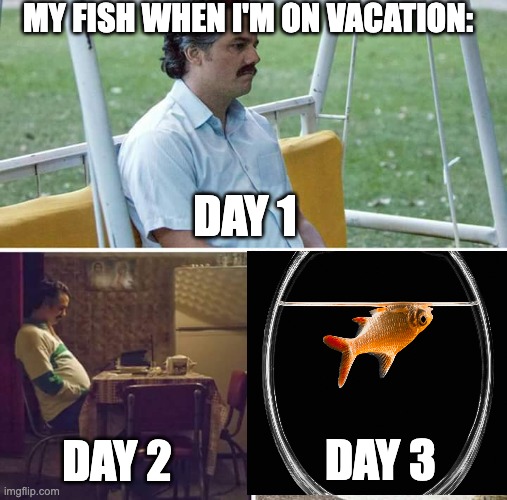 why can i relate to my fish sometimes | MY FISH WHEN I'M ON VACATION:; DAY 1; DAY 3; DAY 2 | image tagged in memes,sad pablo escobar,goldfish | made w/ Imgflip meme maker