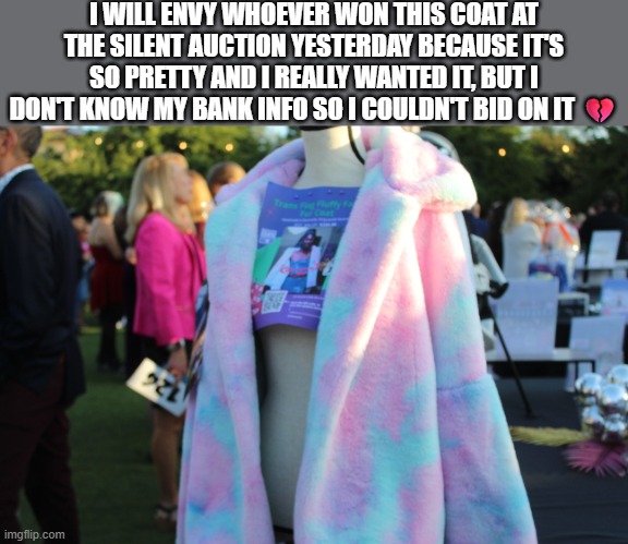 AUGH | I WILL ENVY WHOEVER WON THIS COAT AT THE SILENT AUCTION YESTERDAY BECAUSE IT'S SO PRETTY AND I REALLY WANTED IT, BUT I DON'T KNOW MY BANK INFO SO I COULDN'T BID ON IT 💔 | made w/ Imgflip meme maker