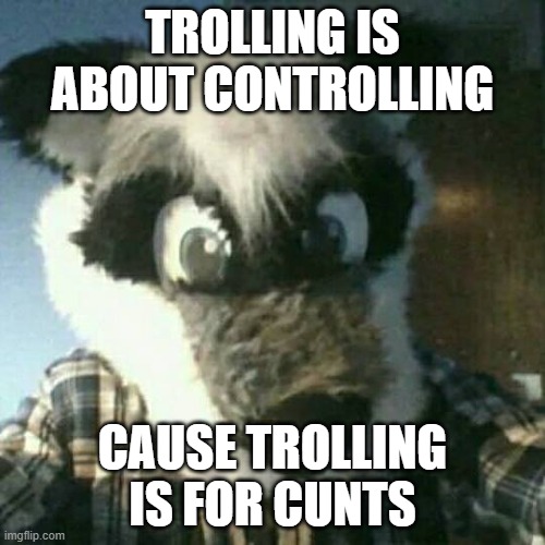 TROLLING IS ABOUT CONTROLLING; CAUSE TROLLING IS FOR CUNTS | image tagged in troll | made w/ Imgflip meme maker