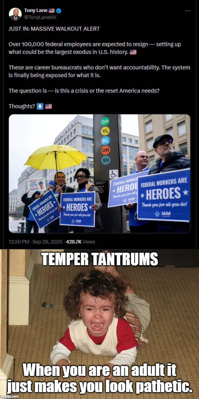 Temper tantrums... They were never elected to decide what's best | image tagged in liberals,throwing temper tantrums,no such thing as an elected bureaucrat | made w/ Imgflip meme maker