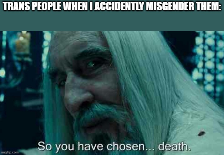 How am I supposed to know? | TRANS PEOPLE WHEN I ACCIDENTLY MISGENDER THEM: | image tagged in so you have chosen death,true,memes,funny | made w/ Imgflip meme maker