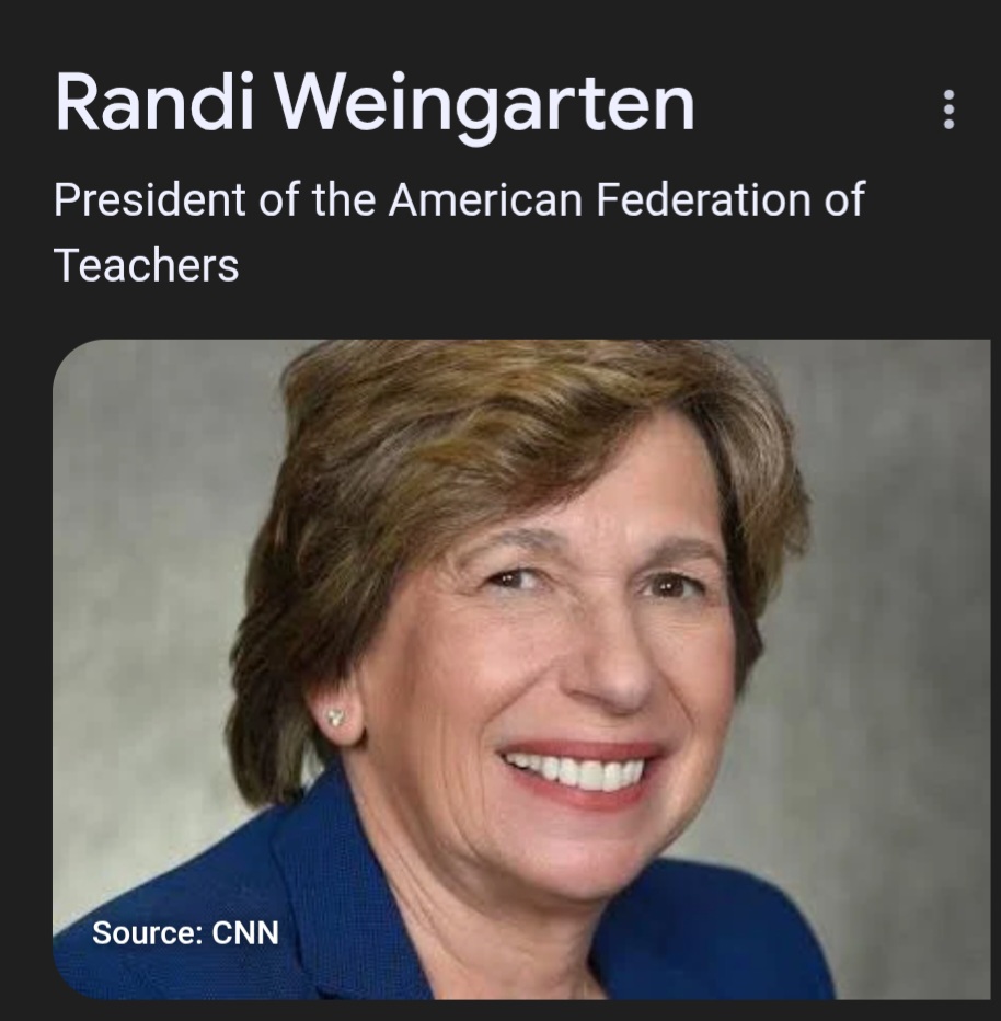 Randi Weingarten Blank Meme Template
