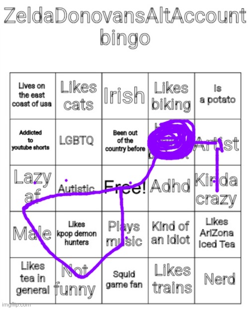 ZeldaDonovansAltAccount bingo | image tagged in zeldadonovansaltaccount bingo | made w/ Imgflip meme maker