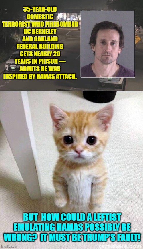 leftist thinking probably IS on the same intellectual level as a kitten. | 35-YEAR-OLD DOMESTIC TERRORIST WHO FIREBOMBED UC BERKELEY AND OAKLAND FEDERAL BUILDING GETS NEARLY 20 YEARS IN PRISON — ADMITS HE WAS INSPIRED BY HAMAS ATTACK. BUT  HOW COULD A LEFTIST EMULATING HAMAS POSSIBLY BE WRONG?  IT MUST BE TRUMP'S FAULT! | image tagged in cute cat | made w/ Imgflip meme maker