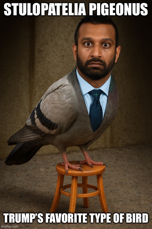 Patel is screwed | STULOPATELIA PIGEONUS; TRUMP’S FAVORITE TYPE OF BIRD | image tagged in epstein,donald trump,republicans,fbi,democrats,fuck donald trump | made w/ Imgflip meme maker