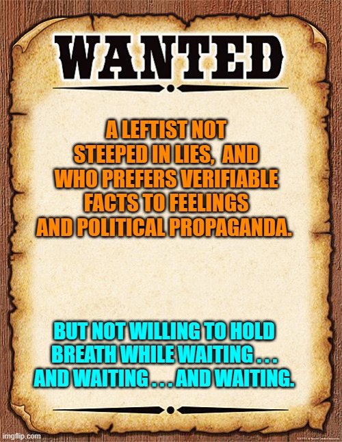 I haven't encountered one yet. | A LEFTIST NOT STEEPED IN LIES,  AND WHO PREFERS VERIFIABLE FACTS TO FEELINGS AND POLITICAL PROPAGANDA. BUT NOT WILLING TO HOLD BREATH WHILE WAITING . . . AND WAITING . . . AND WAITING. | image tagged in wanted poster | made w/ Imgflip meme maker