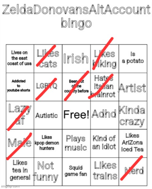 ZeldaDonovansAltAccount bingo | image tagged in zeldadonovansaltaccount bingo | made w/ Imgflip meme maker