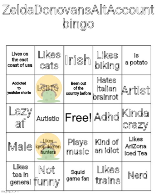 lowkey a professional hater | image tagged in zeldadonovansaltaccount bingo | made w/ Imgflip meme maker