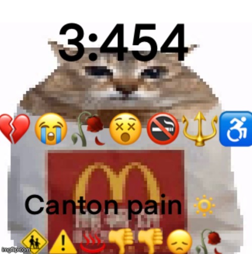 3454 Canton Pain | image tagged in funny,cat,brainrot,sad but true,sad,sad cat | made w/ Imgflip meme maker