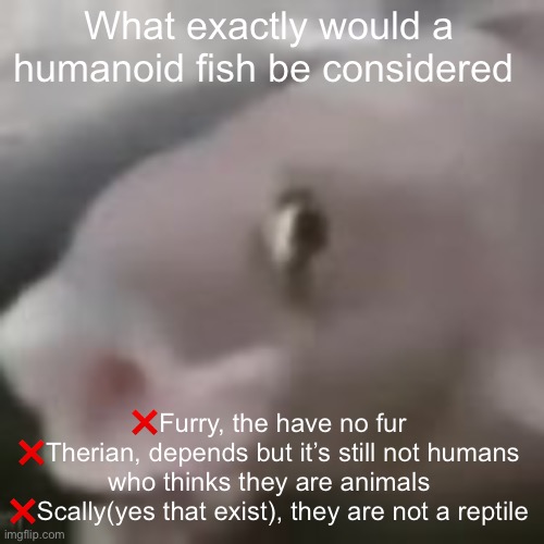 fih | What exactly would a humanoid fish be considered; ❌Furry, the have no fur
❌Therian, depends but it’s still not humans who thinks they are animals
❌Scally(yes that exist), they are not a reptile | image tagged in fih,msmg | made w/ Imgflip meme maker