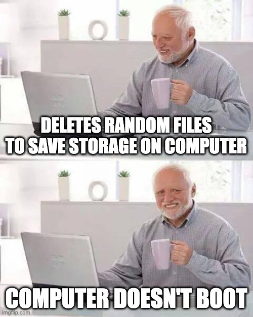 Hide the Pain Harold | DELETES RANDOM FILES TO SAVE STORAGE ON COMPUTER; COMPUTER DOESN'T BOOT | image tagged in memes,hide the pain harold | made w/ Imgflip meme maker