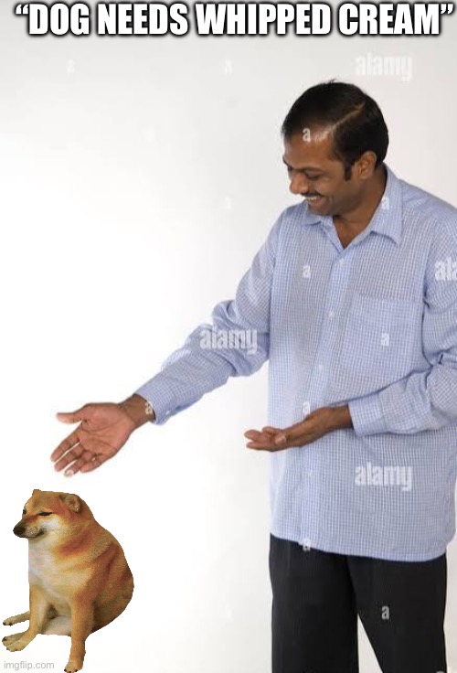 “DOG NEEDS WHIPPED CREAM” | made w/ Imgflip meme maker