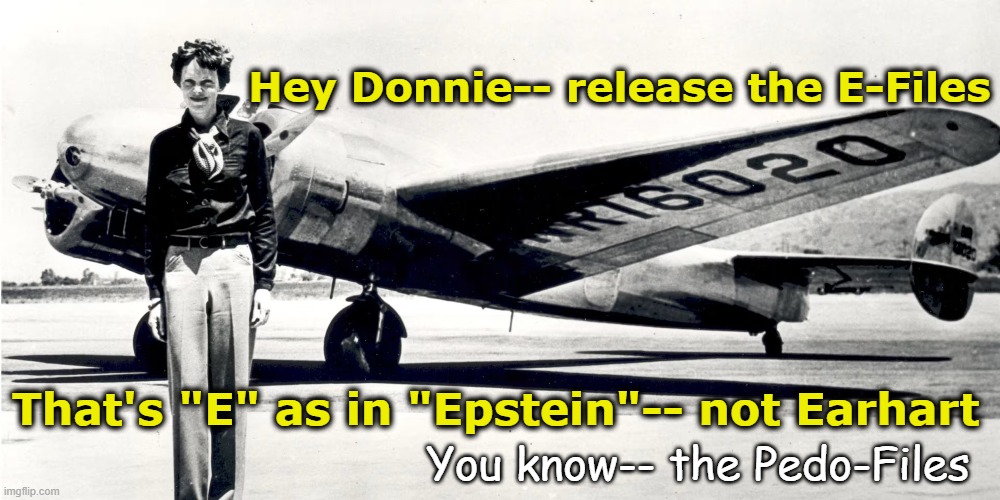 Release the E-Files | Hey Donnie-- release the E-Files; That's "E" as in "Epstein"-- not Earhart; You know-- the Pedo-Files | image tagged in maga,pedophiles,jeffrey epstein,donald trump,nevertrump meme,trump is a moron | made w/ Imgflip meme maker