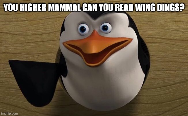 You Higher mammal can you read this? | YOU HIGHER MAMMAL CAN YOU READ WING DINGS? | image tagged in you higher mammal can you read this | made w/ Imgflip meme maker