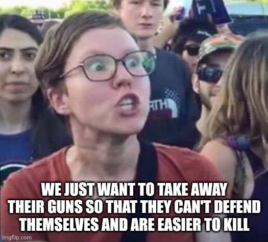 Angry Liberal | WE JUST WANT TO TAKE AWAY THEIR GUNS SO THAT THEY CAN'T DEFEND THEMSELVES AND ARE EASIER TO KILL | image tagged in angry liberal | made w/ Imgflip meme maker
